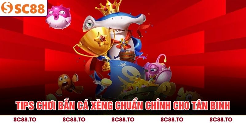 Tips chơi bắn cá xèng chuẩn chỉnh cho tân binh